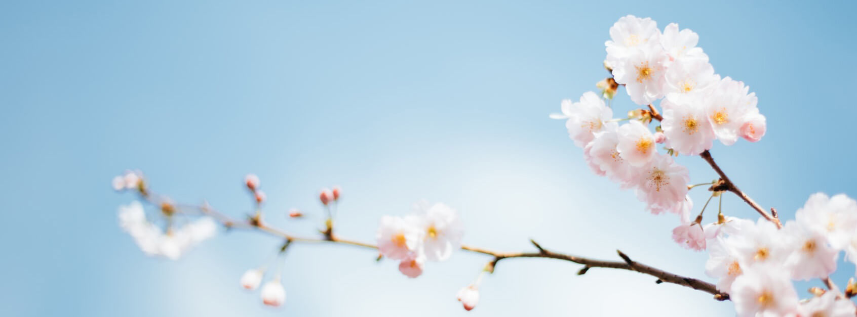 数据观点