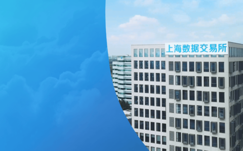 上海数据交易所