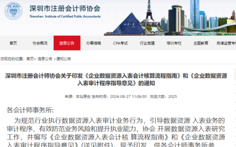 深圳印发《企业数据资源入表会计核算流程指南》和《企业数据资源入表审计程序指导意见》