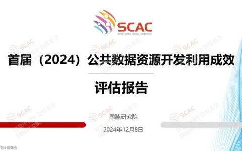 《首届（2024）公共数据资源开发利用成效评估报告》要点回顾