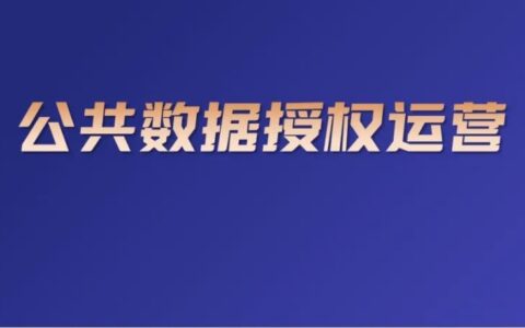 公共数据授权运营的五种代表性实践路径